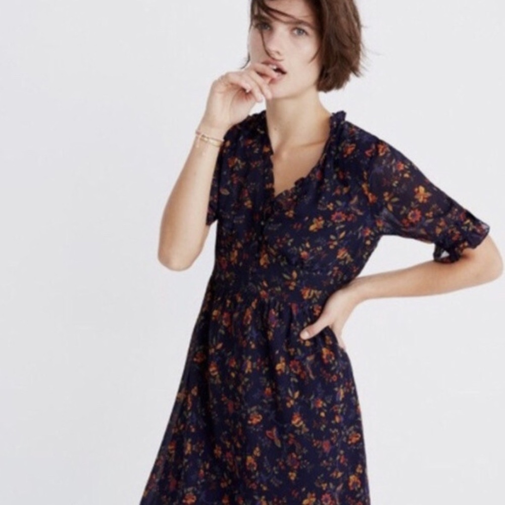 Madewell Blue Floral Dress Sz 4